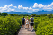Salak Phet Mangrove