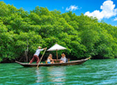 Salak Khok Mangrove Gondola