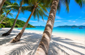Wai Island