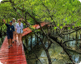 Koh Chang Discovery, private Day Trip Koh Chang Discovery, private Day Trip