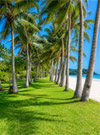 Klong Prao Beach