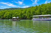 Salak Khok Mangrove