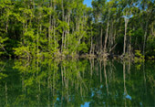 Salak Khok Gondola