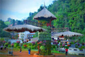 One Day Tour: Doi Ang-Khang