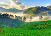 Package: 3 Days 2 Nights Chiang Mai