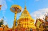 Doi Suthep - Doi Pui Full Day