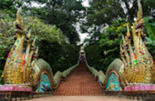 Doi Suthep - Doi Pui Full Day