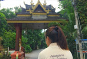 Viang Kum Kam & Mae Kampong One Day Tour