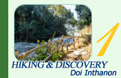 Hiking and Discovery Doi Inthanon