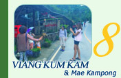 Viang Kum Kam & Mae Kampong One Day Tour