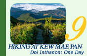 Hiking at Kew Mae Pan Doi Inthanon: One Day