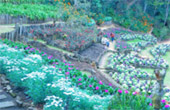 Doi Tung and Royal Villa Half Day Tour