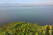 Phayao Lake, Province Day Trip