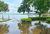 Phayao Lake, Province Day Trip