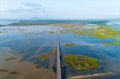 Red Ant River, Lotus Lagoon