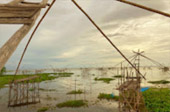 Red Ant River, Lotus Lagoon