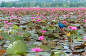 Nakhon Sri Thamarat: From Hat Yai