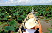 Nakhon Sri Thamarat: From Hat Yai