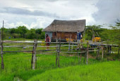 Nakhon Sri Thamarat: From Hat Yai