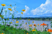 Enlarge Horizon: Loei - Chiang Khan 4 Days