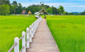 River Road: Udon - Khong Jeam 3 Days 2 Nights