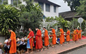 Thai - Laos A Week for life package