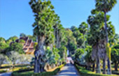 Thai - Laos A Week for life package