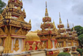 Thai - Laos A Week for life package