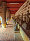 Thai - Laos A Week for life package