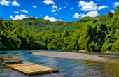 Bamboo Rafting