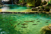Erawan Waterfall