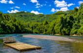 Bamboo Rafting Along Nature River