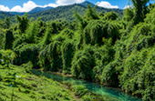 Erawan National Park