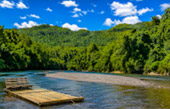 Bamboo Rafting Kanchanaburi