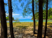 Koh Kam