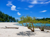 Koh Kam