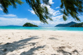 Bat Island and Japanese Island