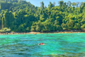 Bat Island and Japanese Island