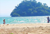 Bat Island and Japanese Island