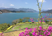 The Charm of Cheow Lan Lake