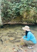Fish Stream Khaolak
