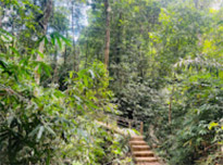 Pure Nature Route Khaolak