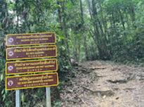 Pure Nature Route Khaolak