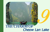 The Charm of Cheow Lan Lake