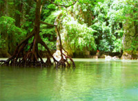 Pungchang Cave and James Bond Island