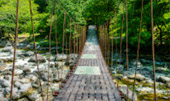 Ranong Natural Hot Springs
