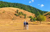 Grass Mountain - Amazing