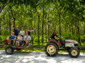 Koh Phayam: Where Happiness Fills the Air