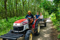 Koh Phayam Island Sightseeing