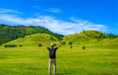 Grass Mountain - Amazing